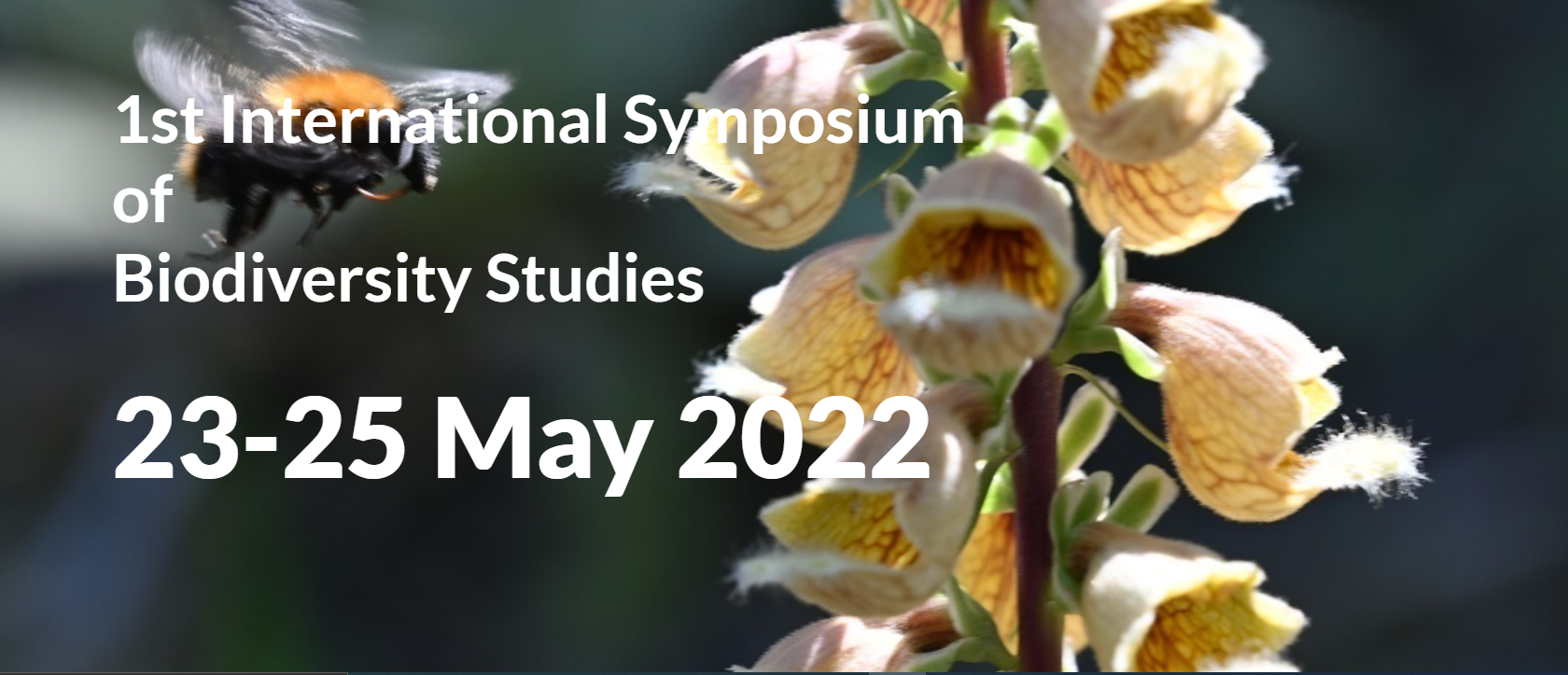 1.  International Symposium of Biodiversity Studies