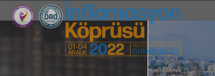 İnflamasyon Köprüsü 2022