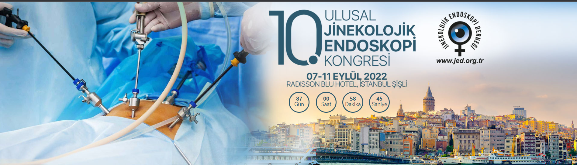10. Ulusal Jinekolojik Endoskopi Kongresi